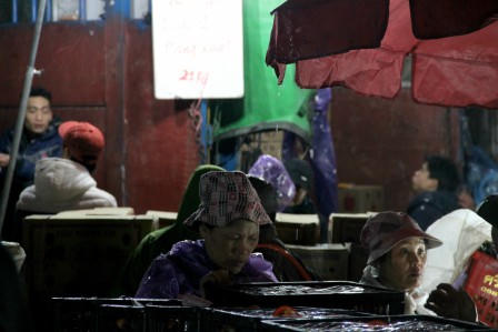 Muôn cảnh “oằn mình” mưu sinh trong đêm rét buốt